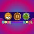 popular-gaming-platform-holds-numerous-meme-coins,-including-shiba-inu-(shib)-and-dogecoin-(doge)