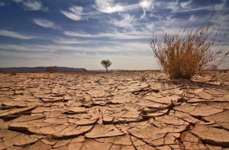 double-whammy-for-ethereum:-price-collapses,-exchange-supply-dries-up