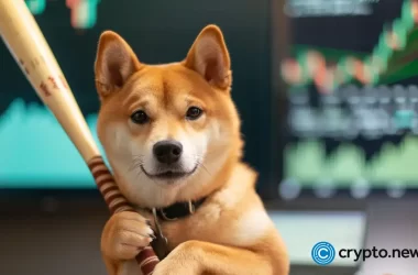 bonk-now-listed-on-bitstamp