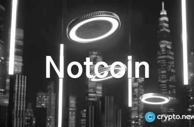 notcoin-price-plummets-as-focus-shifts-to-dotcoin,-hamster-kombat,-blum