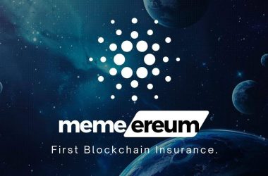 memereum-sells-over-1m-tokens-within-hours-on-presale-while-markets-rebound