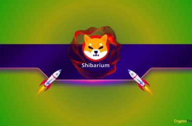 the-potential-shiba-inu-(shib)-price-if-bitcoin-reaches-$1-million:-chatgpt-speculates