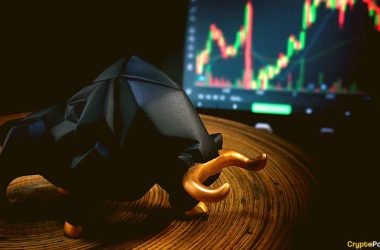 crypto-market-still-in-bull-cycle-but-there-are-worrying-signs:-cryptoquant