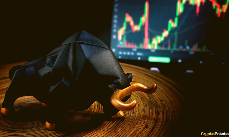 crypto-market-still-in-bull-cycle-but-there-are-worrying-signs:-cryptoquant