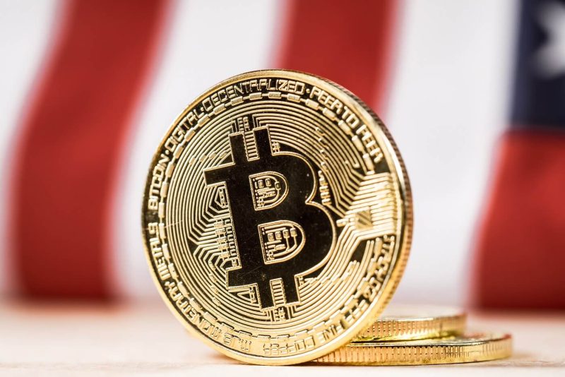 boden,-tremp-and-slcty-eye-bounce-despite-bitcoin’s-struggles
