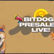 bitdoge-memecoin-launches-presale-on-bitcoin-network