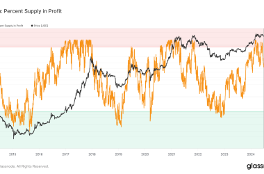 bitcoin’s-supply-in-profit-drops-to-80%-as-post-halving-effects-take-hold