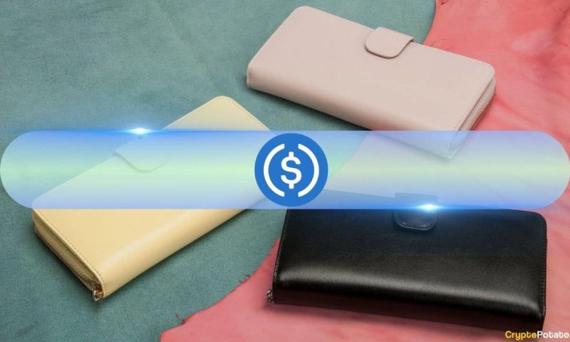 bullish?-usdc-stablecoin-hits-one-year-high-in-net-inflows-on-crypto-exchanges