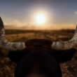 buy-crypto-now:-lekker-capital-cio-spotlights-prime-opportunity