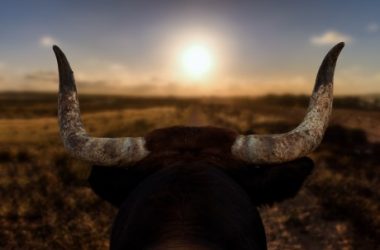 buy-crypto-now:-lekker-capital-cio-spotlights-prime-opportunity