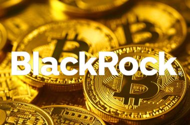 blackrock-discloses-further-bitcoin-holdings-amid-3rd-consecutive-day-of-etf-inflows