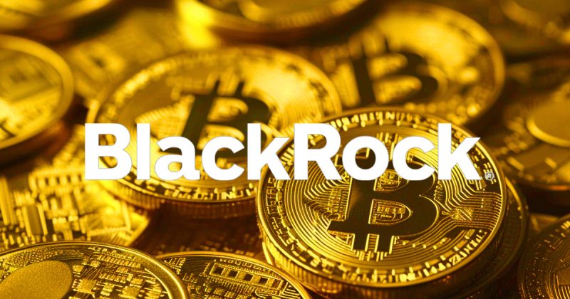 blackrock-discloses-further-bitcoin-holdings-amid-3rd-consecutive-day-of-etf-inflows