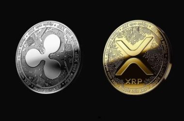 xrp-dominance:-pundit-says-missing-this-altcoin-could-be-a-big-mistake