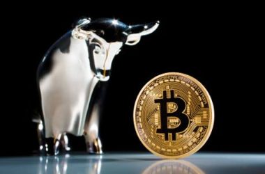 bitcoin-remains-bullish-as-new-btc-addresses-surge-to-new-2-month-highs