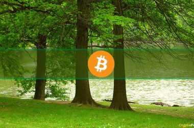 analysts-predict-bullish-july-to-follow-bearish-june-for-bitcoin,-here’s-why 