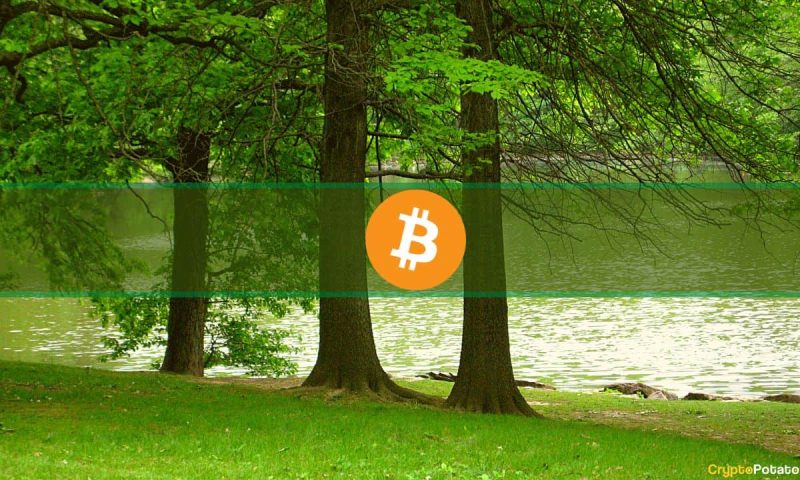 analysts-predict-bullish-july-to-follow-bearish-june-for-bitcoin,-here’s-why 