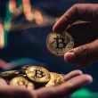 the-importance-of-long-term-and-short-term-holders-for-bitcoin