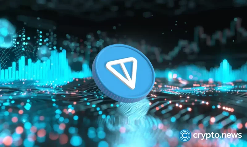 toncoin-price-rallies-as-ton-flips-avalanche,-polygon-on-key-metric
