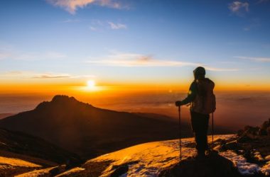 market-expert-predicts-when-bitcoin-price-will-reach-its-cycle-highs