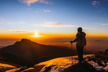 market-expert-predicts-when-bitcoin-price-will-reach-its-cycle-highs