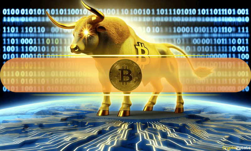 what-is-the-key-to-bitcoin’s-next-bull-rally?-analysts-chip-in