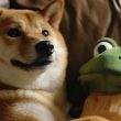 the-dark-side-of-the-memes:-rug-pulls,-fomo,-and-the-dogefather-effect