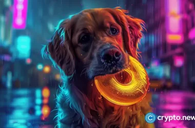 notcoin-drops-9%-while-playdoge-raises-$5.5m-in-presale