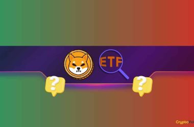 shiba-inu-(shib)-etf:-the-pros-and-cons-according-to-team-member