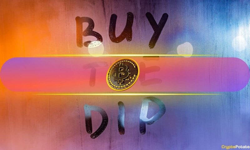 reversal-ahead?-institutions-are-buying-the-bitcoin-dip-in-droves