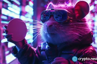 what-will-the-price-of-hamster-kombat-tokens-be-at-launch?