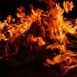 shiba-inu-prepares-for-major-burn-as-liquidity-surpasses-$800-million