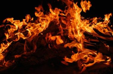 shiba-inu-prepares-for-major-burn-as-liquidity-surpasses-$800-million