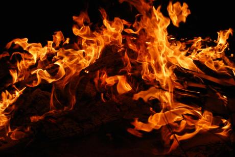 shiba-inu-prepares-for-major-burn-as-liquidity-surpasses-$800-million