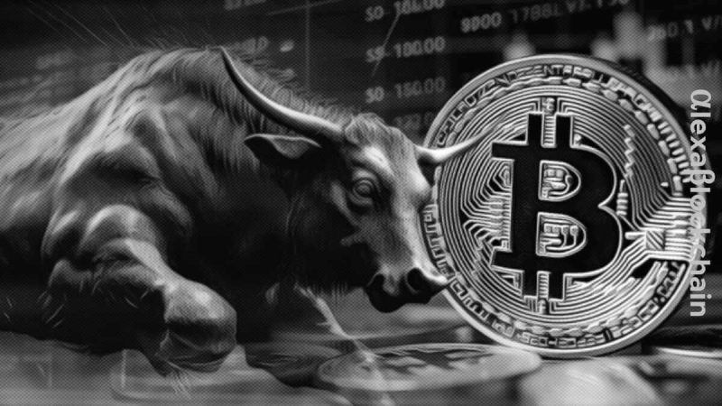 bitcoin-whale-“mr.-100”-continues-its-buying-spree-even-as-btc-soars-above-$64,000