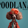 poodlana-goes-viral-ahead-of-highly-anticipated-launch