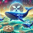 xrp-whales-are-on-the-move-again-–-here’s-what-they’re-doing-this-time