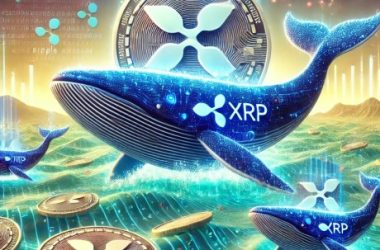 xrp-whales-are-on-the-move-again-–-here’s-what-they’re-doing-this-time