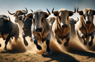 solana-price-could-eclipse-$1,400-as-massive-bull-flag-emerges