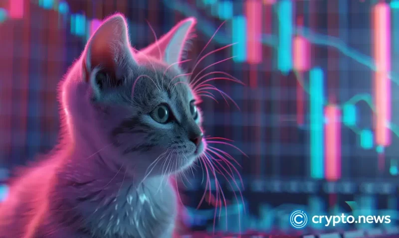 solana-based-popcat-meme-coin-sees-305%-increase-in-30-days