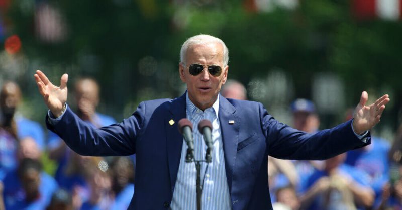 market-volatility-post-joe-biden-withdrawal-wipes-out-$113m-as-investors-flock-to-poodlana