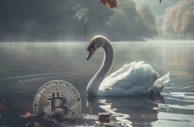 swan-bitcoin-halts-mining-and-ipo-plans,-announces-staff-cuts