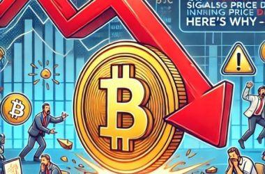 bitcoin-traders-brace-for-impact:-qcp-capital-signals-incoming-price-drop—here’s-why
