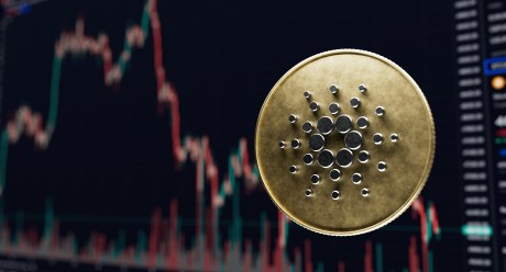 cardano-among-alts-likely-to-see-price-boosts,-santiment-says