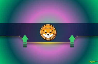 these-shiba-inu-metrics-surge-as-shib’s-price-posts-minor-gains:-details