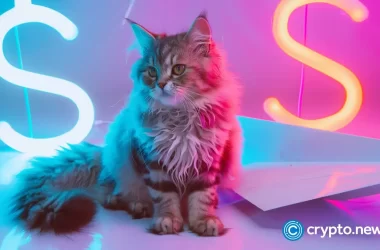 popcat-price-rebounds-as-one-x-user-cites-the-utility-of-meme-coins
