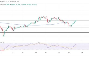 mana-soars-as-market-optimism-returns,-next-stop-$0.3713-level