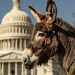 democrats-urge-harris-and-dnc-to-select-crypto-friendly-vice-president,-sec-chair