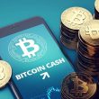 bitcoin-cash-jumps-14%-to-hit-$450-as-btc-eyes-$70k