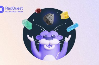radix’s-gamified-onboarding-platform-radquest-simplifies-web3-for-everyone
