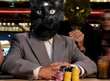 palpable-excitement-as-solana-based-gambling-meme-coin-blackjack-(jack)-launches-today